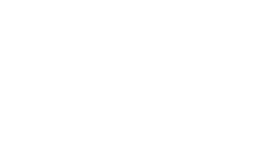 Garanti