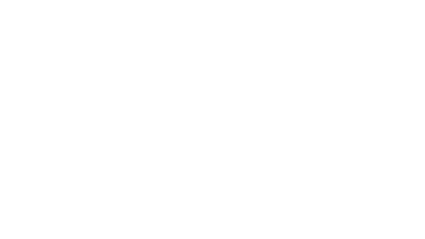 Garanti