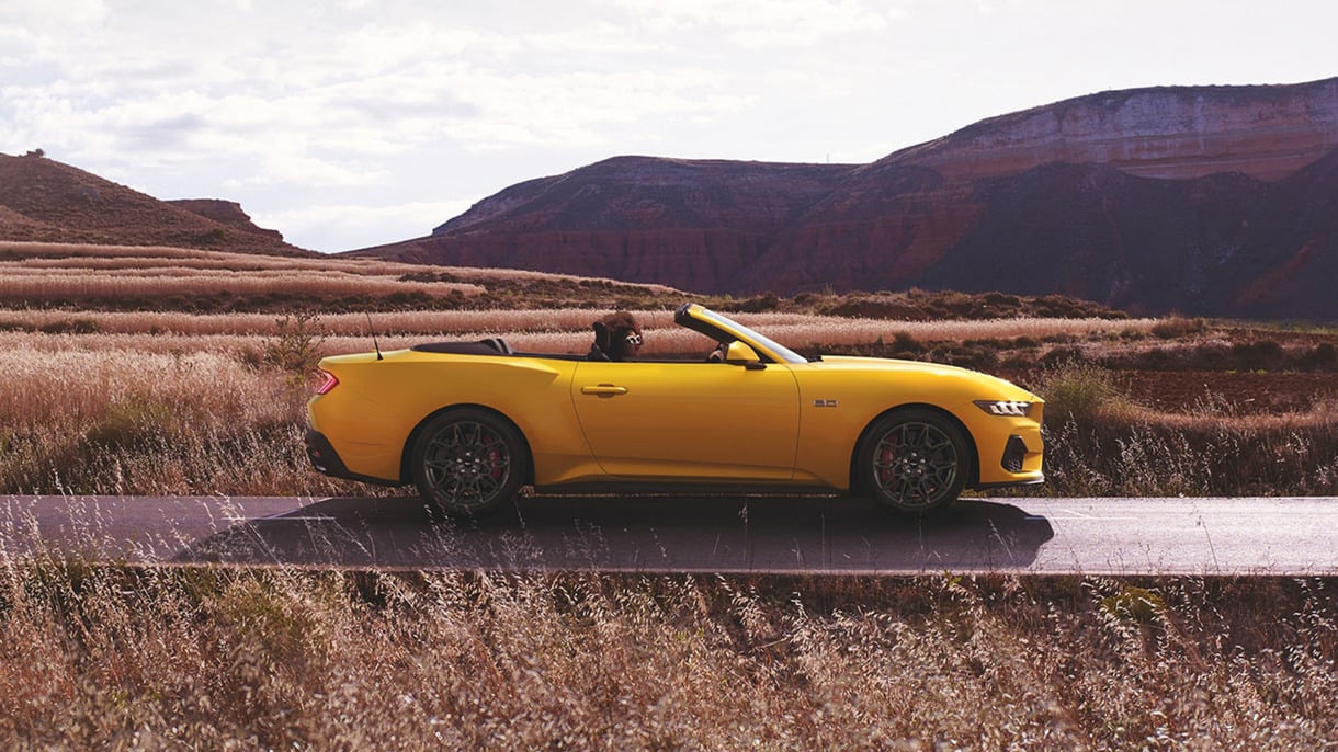 Ford Mustang i farven Yellow Splash 